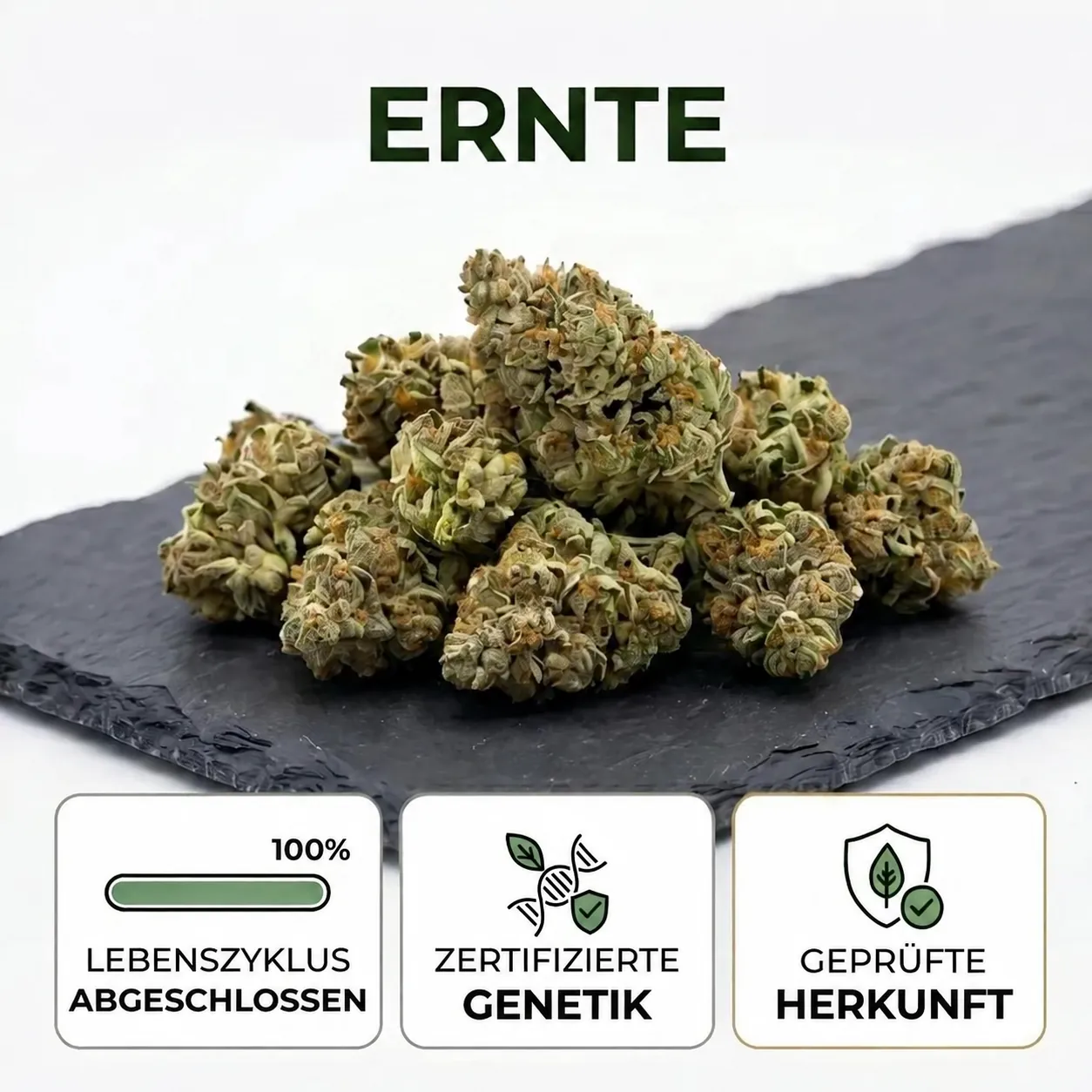 ernte
