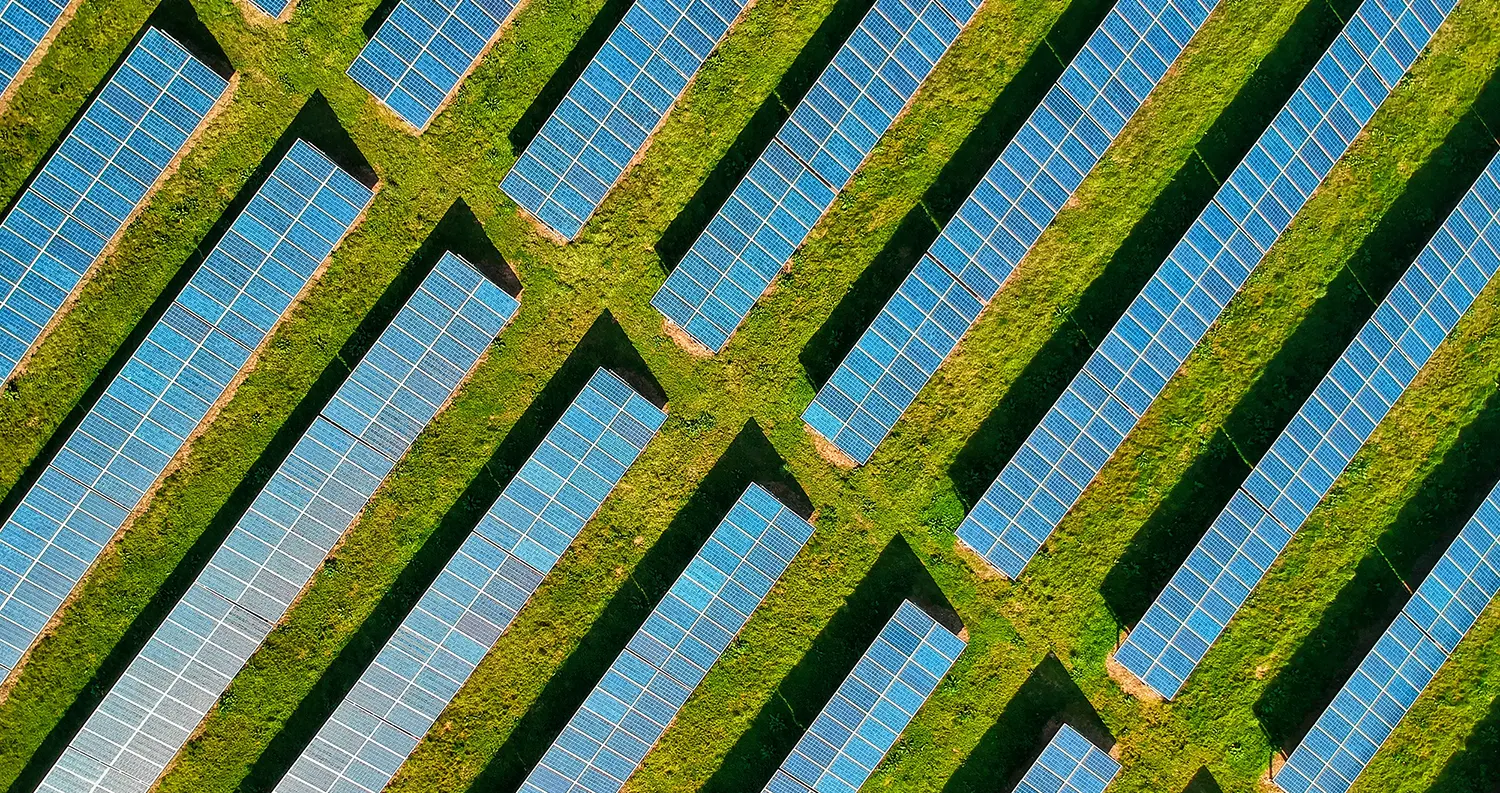 Rows of solar panels installed across a green field