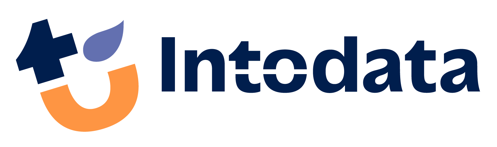 intodata logo