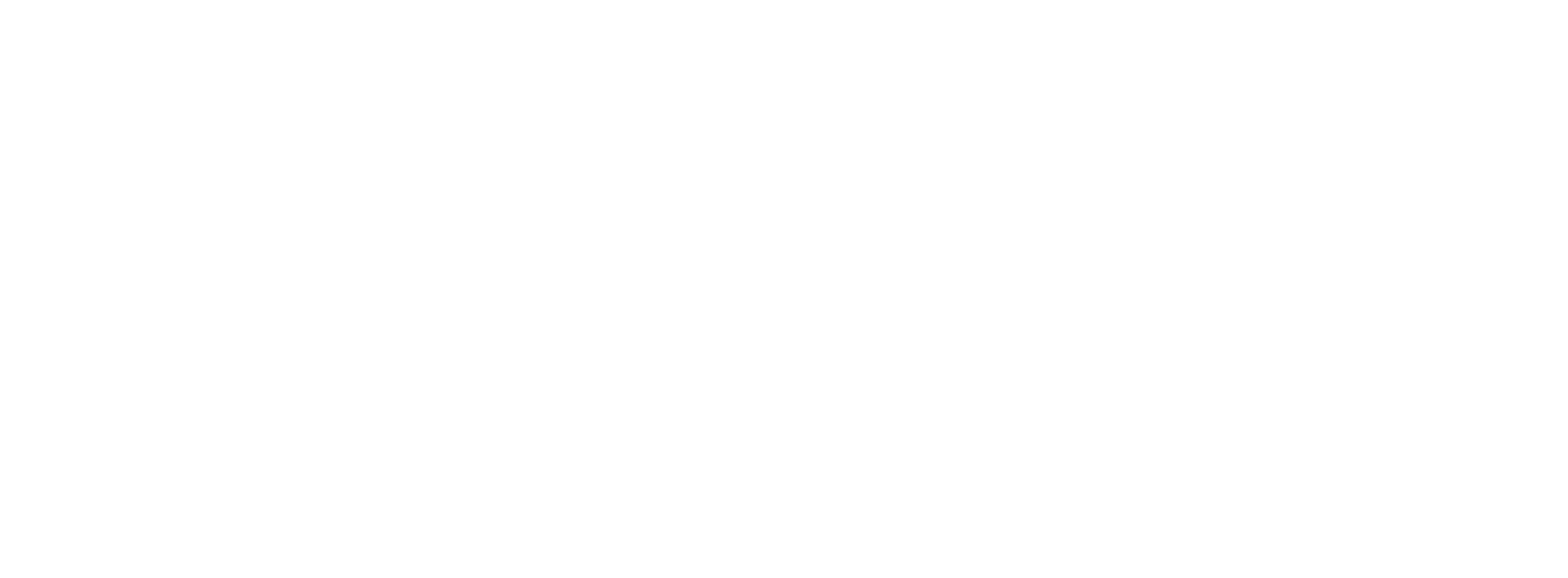Flexso Logo White