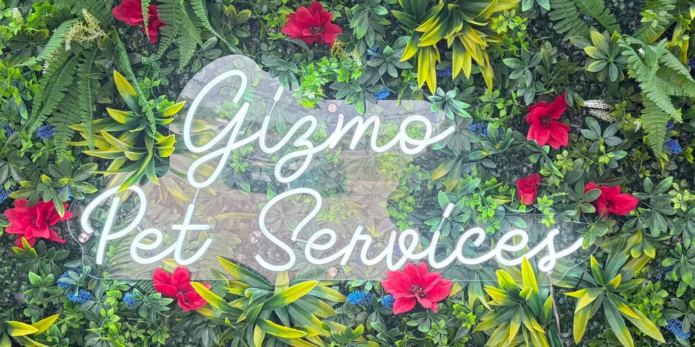 Client Spotlight: Gizmo Pet Services
