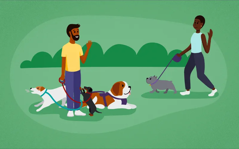 Illustration of two dog walkers greeting each other in a park while walking several dogs