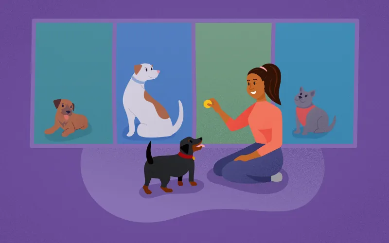 Illustration of a woman giving a treat to a dog in front of boarding kennels with dogs and a cat