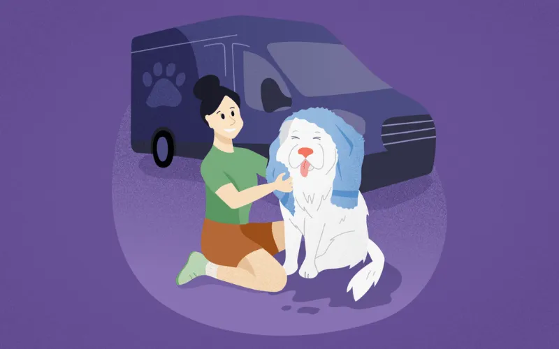 Illustration of a groomer drying a fluffy white dog with a towel in front of a mobile grooming van