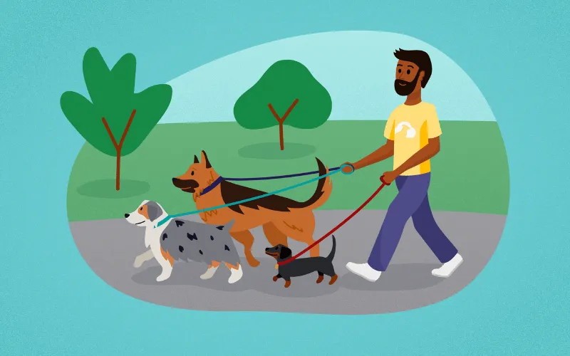 Illustration of a dog walker walking three dogs on leashes through a park