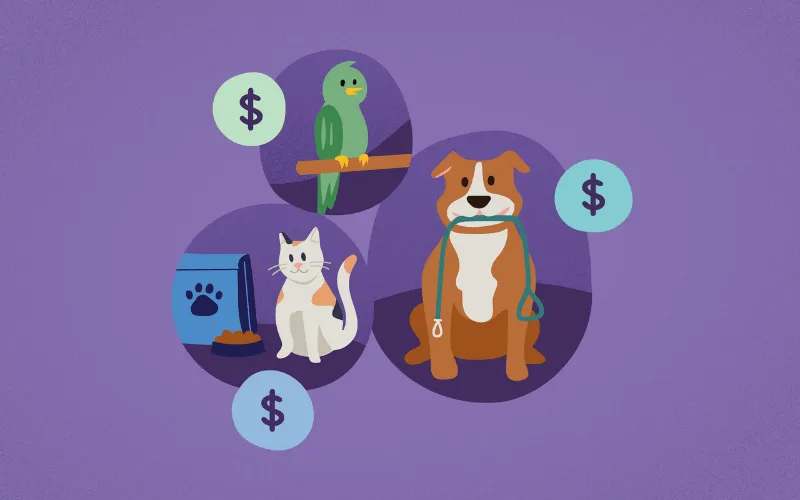Illustration of a parrot, a cat with pet food and a dog with a leash, each next to a dollar sign