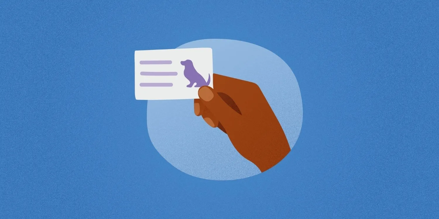Creating The Perfect Pet Sitting Or Dog Walking Business Card