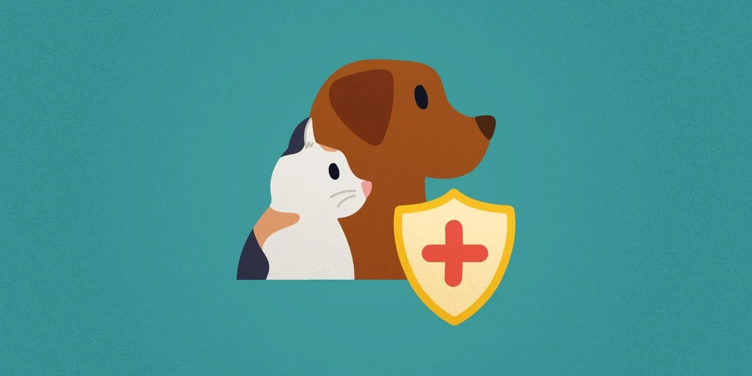 Pet Sitting Insurance