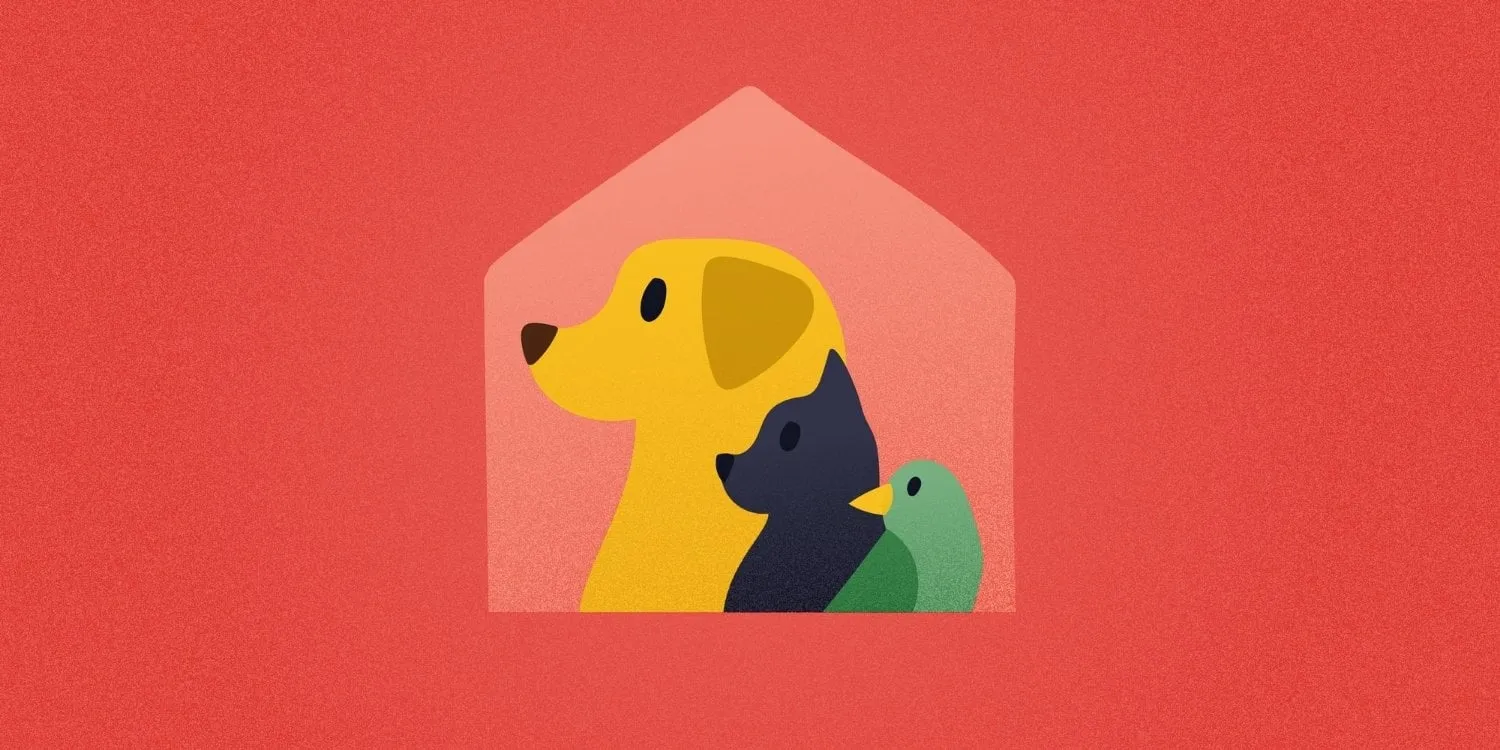 What Services Do Pet Sitters And Dog Walkers Offer?