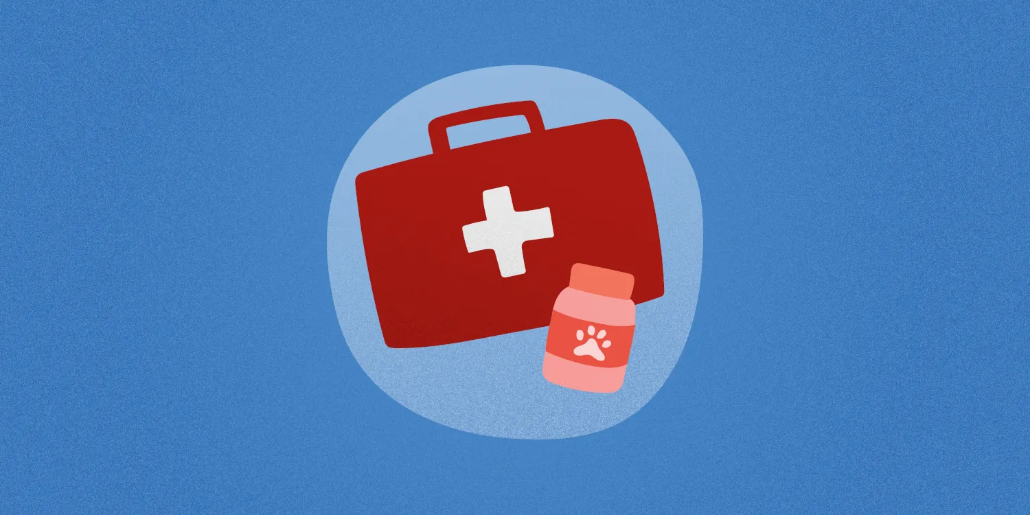 Pet First Aid