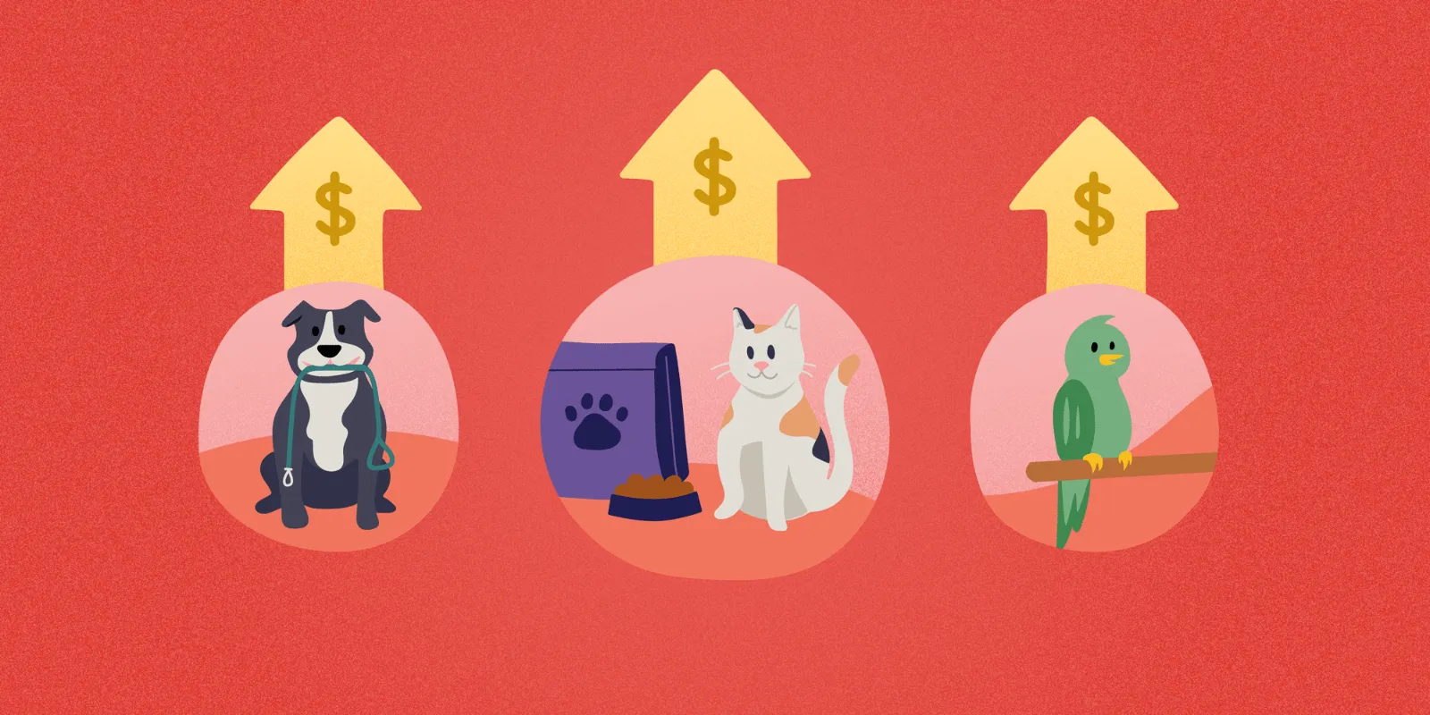 Raising Your Rates