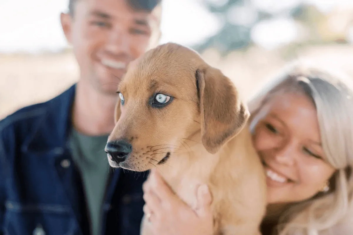 A puppy cared for by Paige's In-Home Pet Care