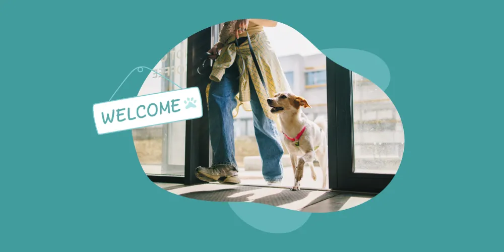 Dog Daycare & Boarding Safety: What Facility Owners Must Know