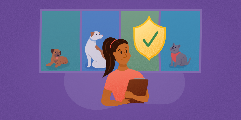 TTPBoardingInsurance1