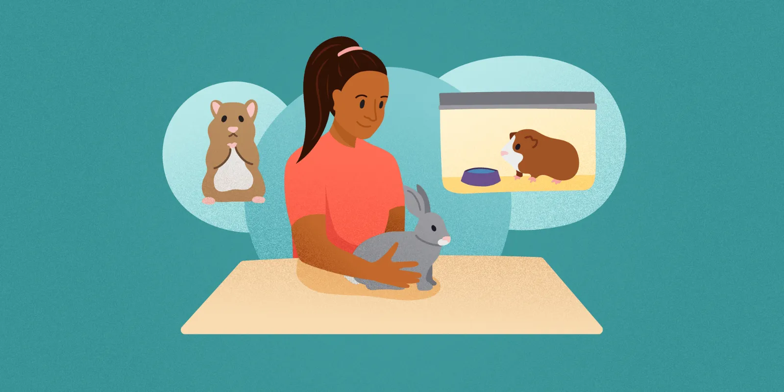 A Pet Sitter's Guide to Caring for Rabbits, Hamsters, Guinea Pigs, and Small Mammals