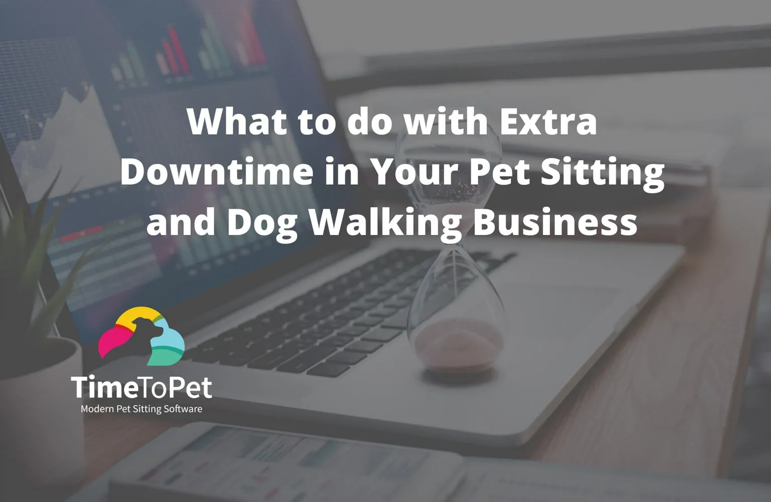 What to do with Extra Downtime in Your Pet Sitting and Dog Walking Business