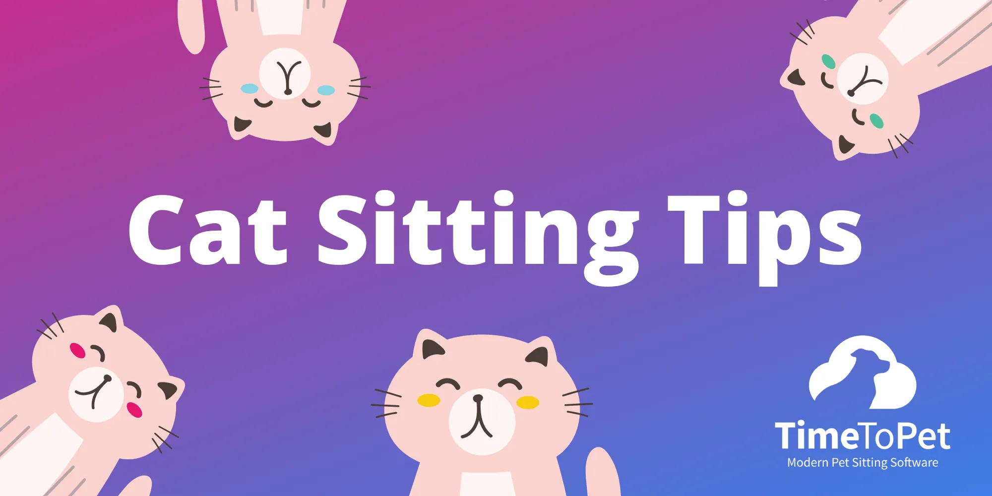 Cat Sitting Tips