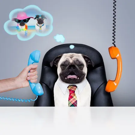 Guest Post - Selling Your Pet Sitting Or Dog Walking Business