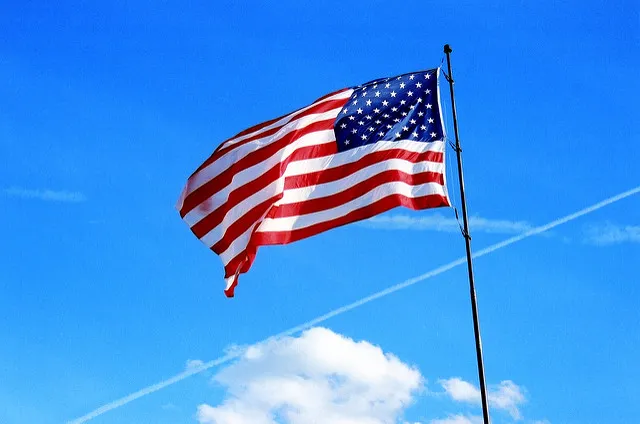 Pet Sitting On July 4th? Make Sure You Charge Extra!