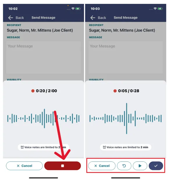 7-voice-notes-record