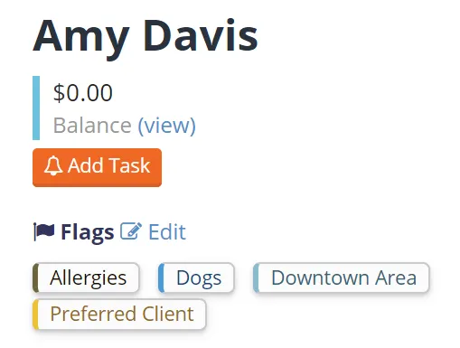 Client Profile with Tags