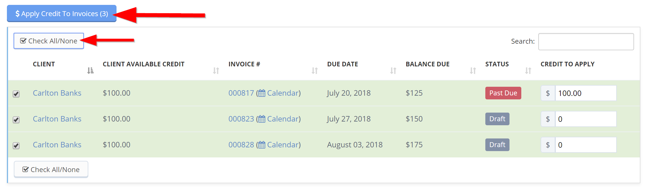 Time To Pet Bulk Invoicing Credits tab with invoices selected and the Apply Credit button