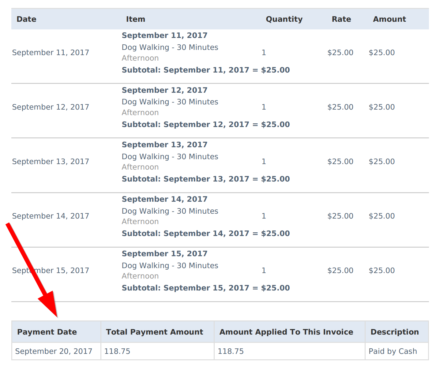 Time To Pet PDF invoice with payment details listed at the bottom