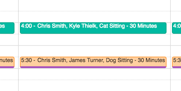 Time To Pet scheduler showing projected template visits outlined in the staff member's color