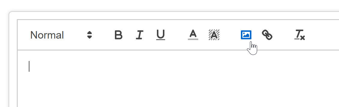 Time To Pet bulk email editor toolbar with the Image icon for adding inline images