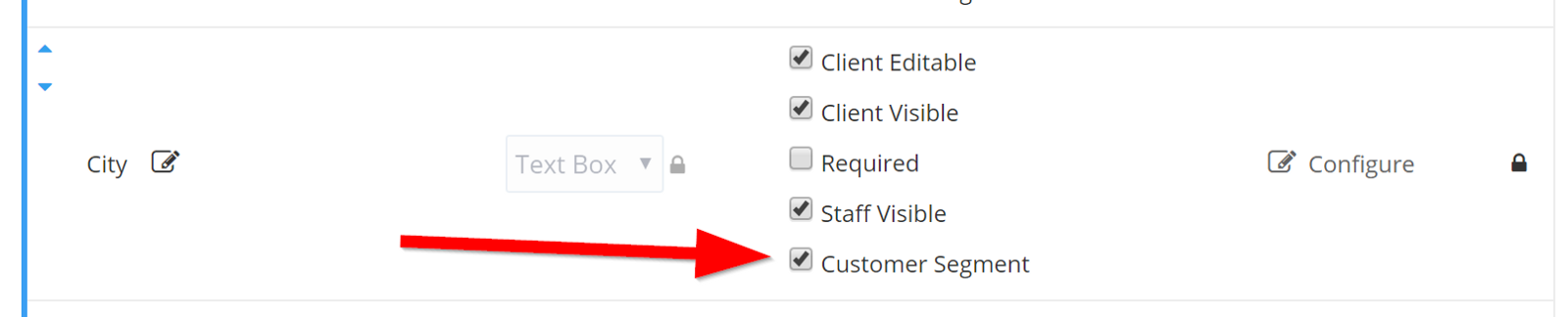Time To Pet custom fields settings with the Customer Segment checkbox enabled