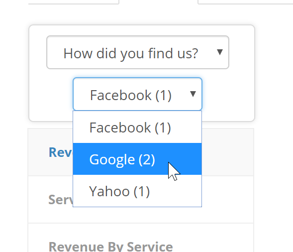 Time To Pet revenue report segmented by the client referral source field
