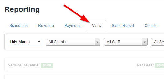 Visits tab in Time To Pet Reporting