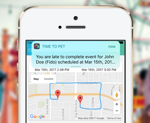 Redesigned Time To Pet mobile app displaying a push notification