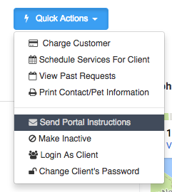 Customizing the portal instructions email before sending it from a client's profile