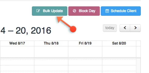 Friday Feature Focus  - Bulk Update