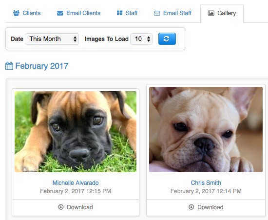 Time To Pet Image Gallery showing pet photos shared through client conversations