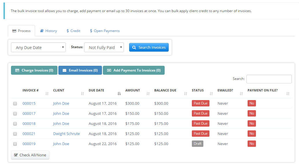 Time To Pet Bulk Invoicing screen overview