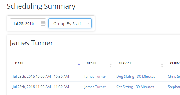 Time To Pet Daily Summary with events grouped by staff member
