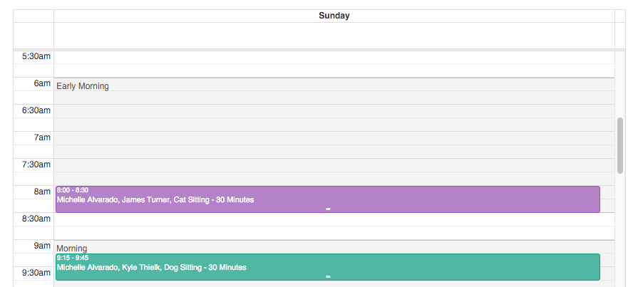 Time To Pet company calendar displaying Schedule Blocks alongside scheduled services