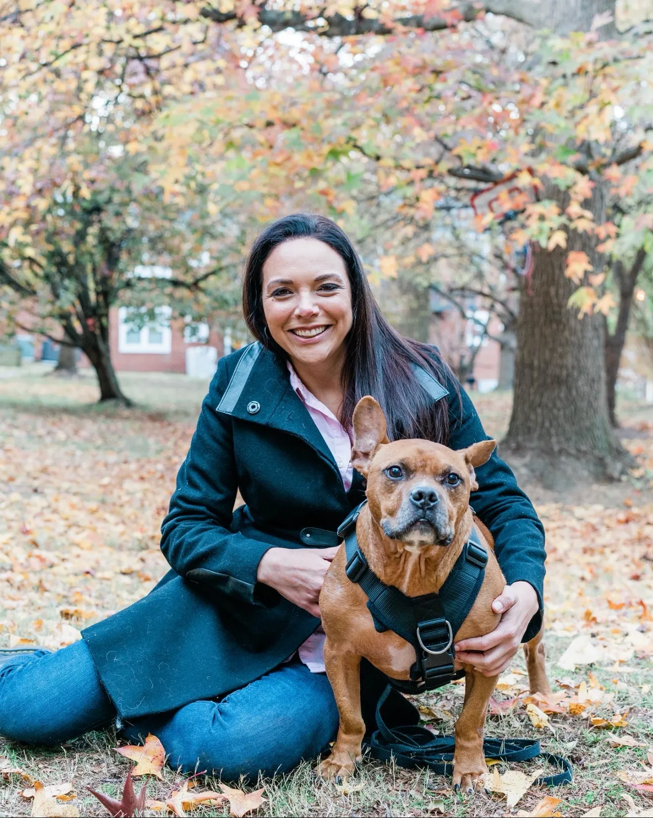 arlington-dog-nanny-2