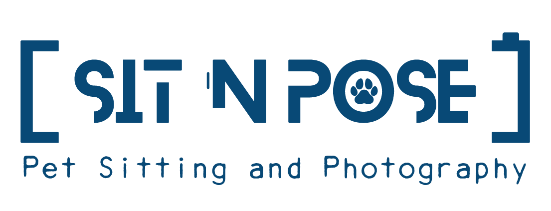 Client Spotlight - Sit 'N Pose