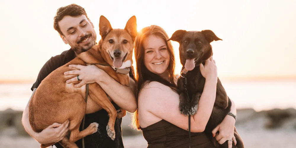 Client Spotlight - A&S Pet Care