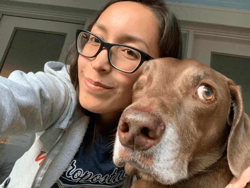petfect-care-estela