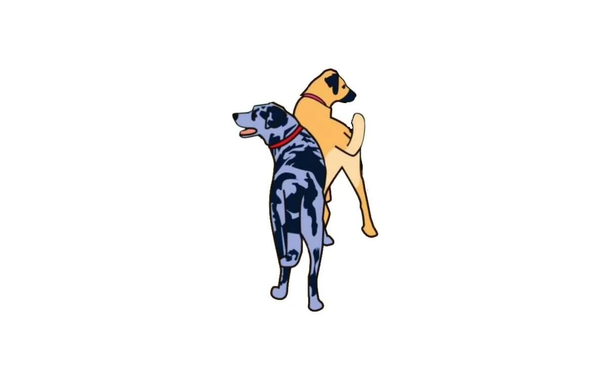 Client Spotlight - Good Dogs Pet Sitting LLC