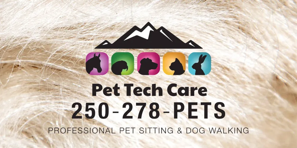 Client Spotlight - Pet Tech Care