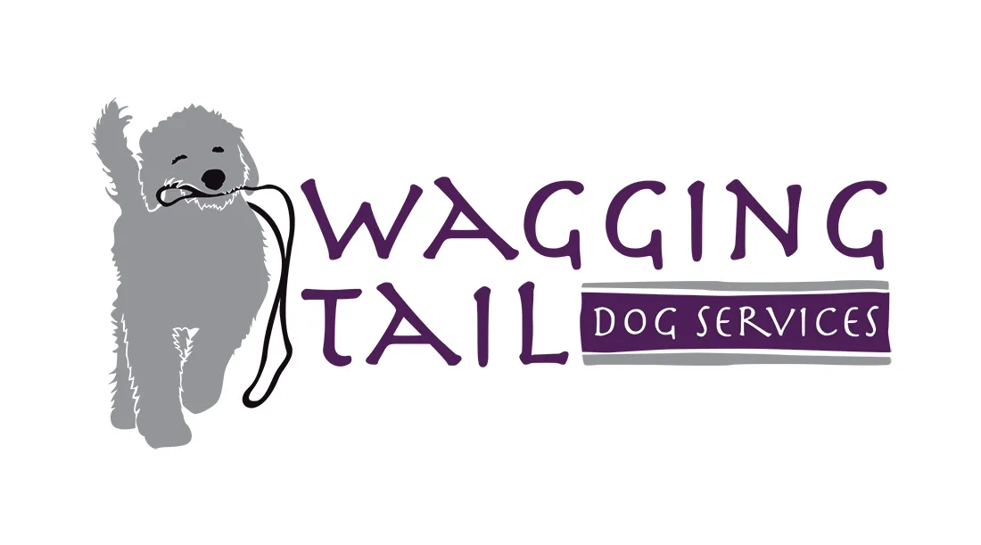 Client Spotlight - Wagging Tail Dog Services