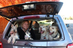 The Pet Sitter, LLC owner, whose business now has around 30 part-time staff
