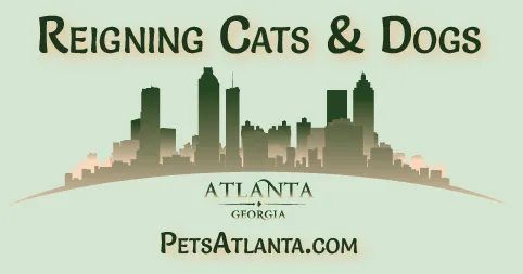 Client Spotlight - Reigning Cats & Dogs, Inc.