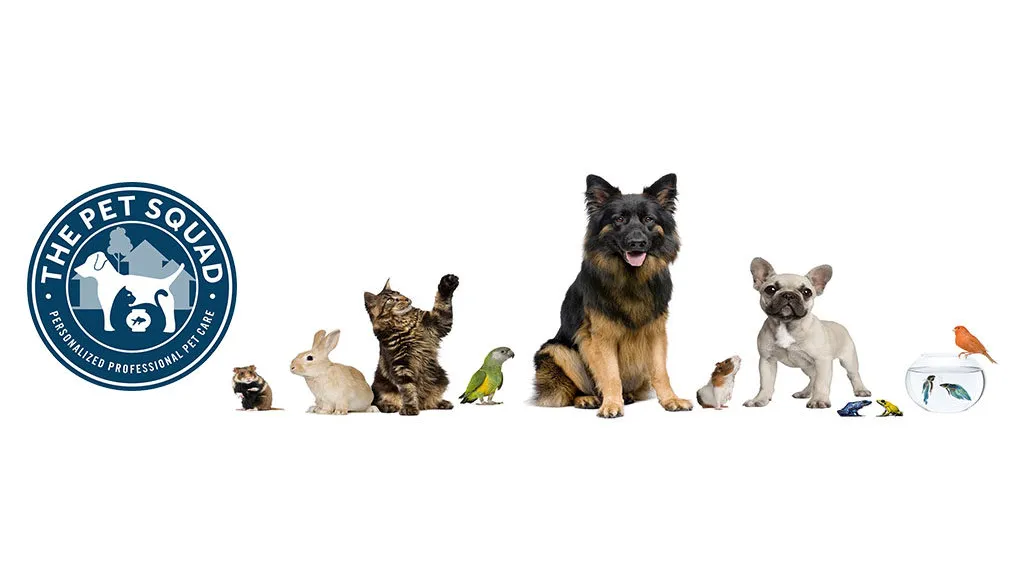Client Spotlight - The Pet Squad!