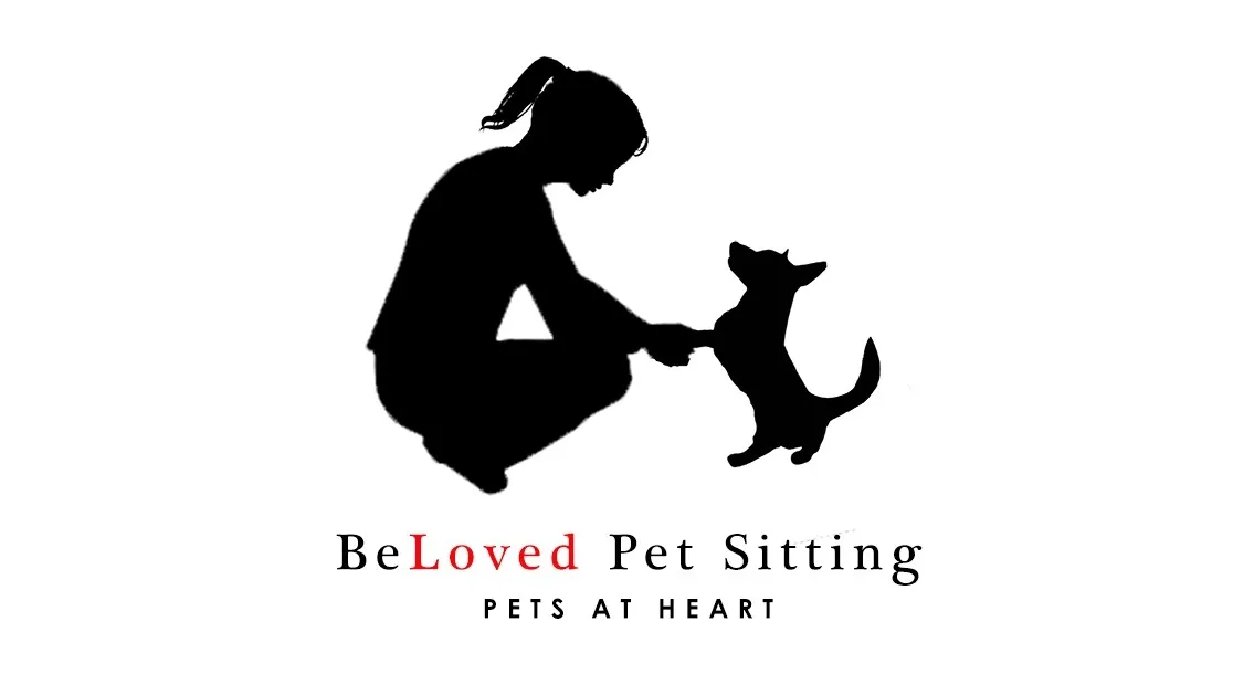 Client Spotlight - BeLoved Pet Sitting